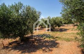 Development land – Chalkidiki (Halkidiki), Administration of Macedonia and Thrace, Greece for 165,000 €