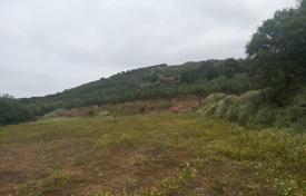 Land plot with an olive grove overlooking the bay in Kissamos, Crete, Greece for 120,000 €