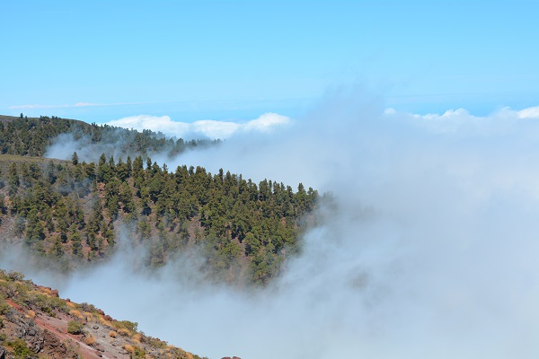 La Palma is the greenest island of the Canaries