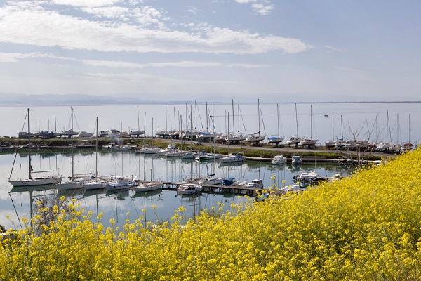 The Thessaloniki marina boasts a Blue Flag