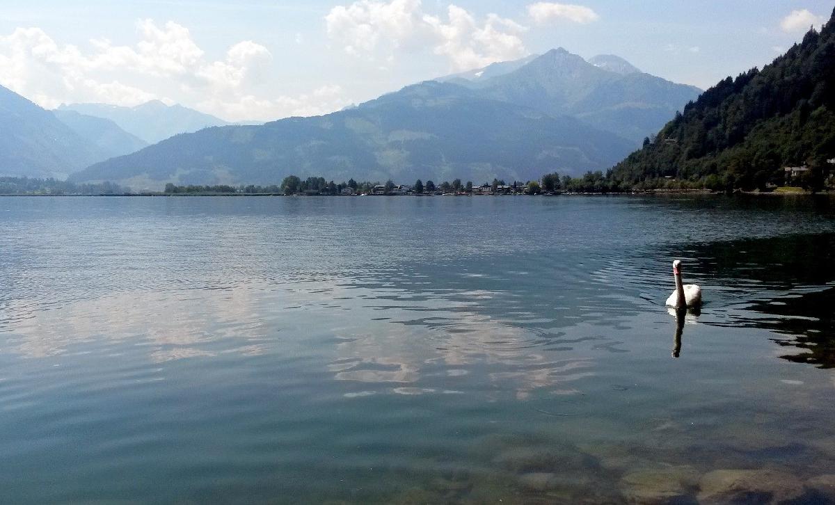Property in Austria