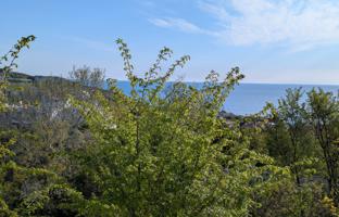 1-bedroom apartment 46 m² in Byala. Price on request