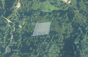 Land plot 2,498 m² in Kvariati for $380,000
