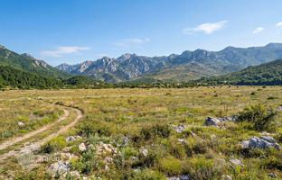 Land plot 4,320 m² in Litsko-Senskaya County for 199,000 €