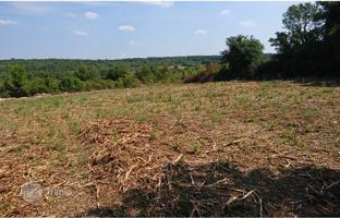 Land plot 8,599 m² in Istria County for 615,000 €