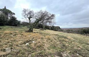 Land plot 1,041 m² in Višnjan. Price on request