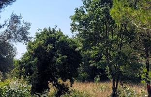 Land plot 750 m² in Medulin for 228,000 €