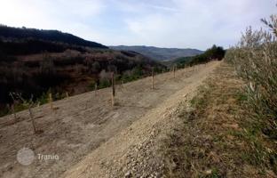 Land plot 24,200 m² in Istria County for 160,000 €