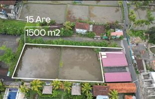 Land plot 1,500 m² in Ubud for $223,000