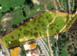 Investment land in Germasogeia for 6,000,000 €
