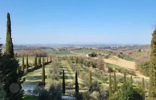 Land plot 1,067 m² in Chiusi for 1,850,000 €