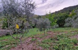 ISTRIA, GRAČIŠĆE — Stone buildings with a spacious secluded plot for 100,000 €