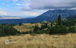 Land plot 40,000 m² in Zabljak (city) for 600,000 €