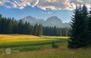 Urbanized plot near the ski center, Zabljak, Montenegro. Price on request