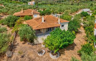 Well-kept house with an olive grove in Messinia, Peloponnese, Greece. Price on request