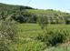 Investment land in Montalcino for 6,000,000 €