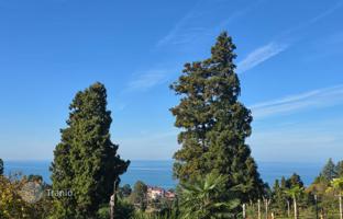 Land plot 3,300 m² in Batumi for $396,000