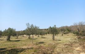 CROATIA, ISTRIA, ROVINJ Olive grove with sea view 15,475 m² — 2 km FROM THE BEACH! for 245,000 €
