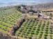 Vineyard 1,305 m² in Gavorrano for 2,700,000 €