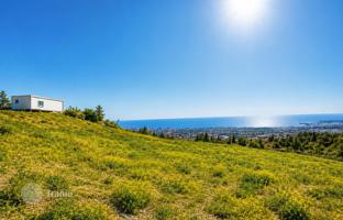 Land plot 927 m² in Tala for 360,000 €