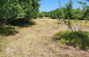 Land plot 9,862 m² in Brtonigla for 155,000 €