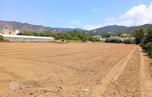 Land plot 9,365 m² in Paphos for 850,000 €