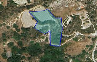 Land plot 7,693 m² in Pissouri for 485,000 €