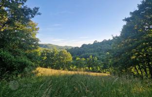 Land plot 1,297 m² in Istria County for 65,000 €