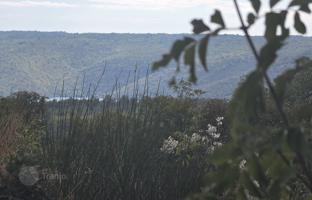 Land plot 4,415 m² in Labin for 250,000 €