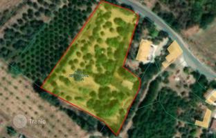 Land plot 5,017 m² in Paphos for 356,000 €