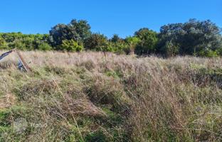 Land plot 5,726 m² in Pomer for 144,000 €