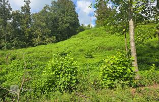 Land plot 1,400 m² in Batumi for $210,000