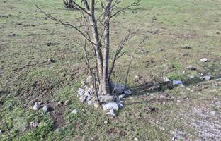 Land plot 650 m² in Primorje-Gorski Kotar County for 81,000 €