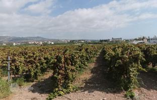 Land plot 12,997 m² in Coral Bay for 1,500,000 €