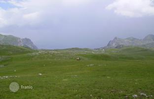Huge plot of land, Sinjavina, Kolasin, Montenegro for 1,980,000 €