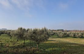 Development land in Buje, Croatia for 250,000 €