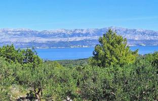 Farm 10,970 m² in Supetar for 86,000 €