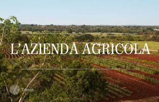 Land plot 505 m² in Castiglione della Pescaia for 1,650,000 €