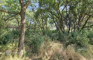 Land plot 1,345 m² in Valbandon for 270,000 €