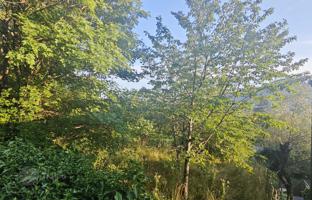 Land plot 1,037 m² in Matulji for 85,000 €