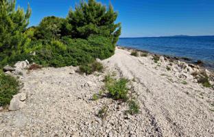 Land plot 7,863 m² in Vir for 1,572,000 €