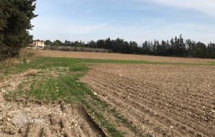 Land plot 49,092 m² in Meneou for 1,550,000 €