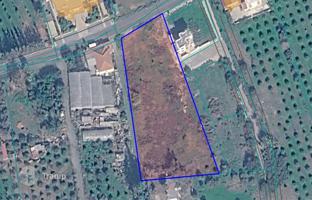 Land plot 4,130 m² in Zakaki for 1,650,000 €