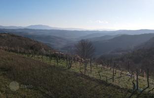 Land plot 1,665 m² in Pazin for 172,000 €