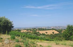 Land plot 210 m² in Scansano for 1,700,000 €