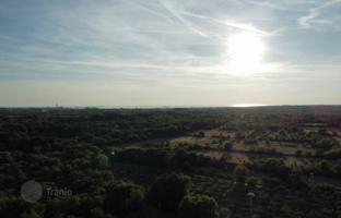 Land plot 8,000 m² in Vodnjan for 350,000 €