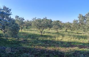 Land plot 6,169 m² in Zadar for 1,357,000 €
