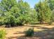 Investment project in Corfu for 600,000 €