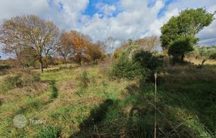 Land plot 11,423 m² in Pula for 286,000 €