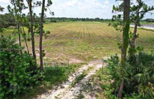 Land plot in Florida for $350,000